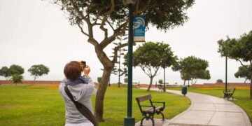 Essa cidade do Nordeste surpreende com internet grátis para todos