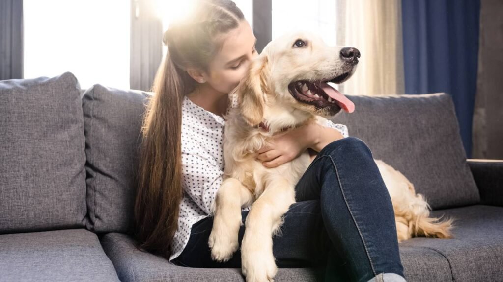 A melhor forma de demonstrar amor ao seu cão não é abraço, e sim esses gestos