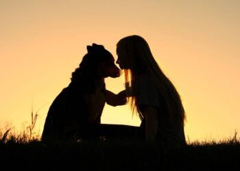 A melhor forma de demonstrar amor ao seu cão não é abraço, e sim esses gestos