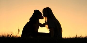 A melhor forma de demonstrar amor ao seu cão não é abraço, e sim esses gestos