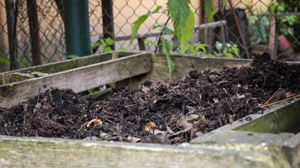 Como manter suas plantas sempre nutridas com esse adubo caseiro