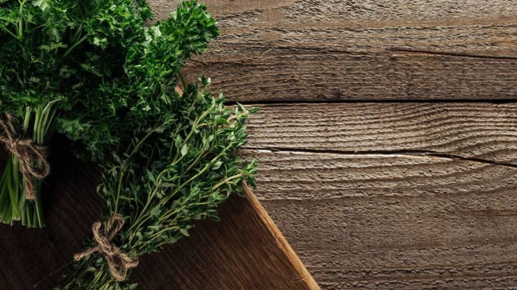 5 plantas que afastam moscas e deixam o ambiente mais perfumado