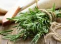O poder escondido no aroma do alecrim que pode transformar seu corpo