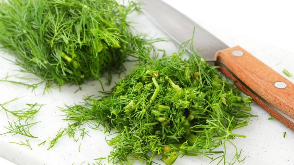 Transformei meu tempero do dia a dia com plantas que poucos conhecem e agora não vivo sem