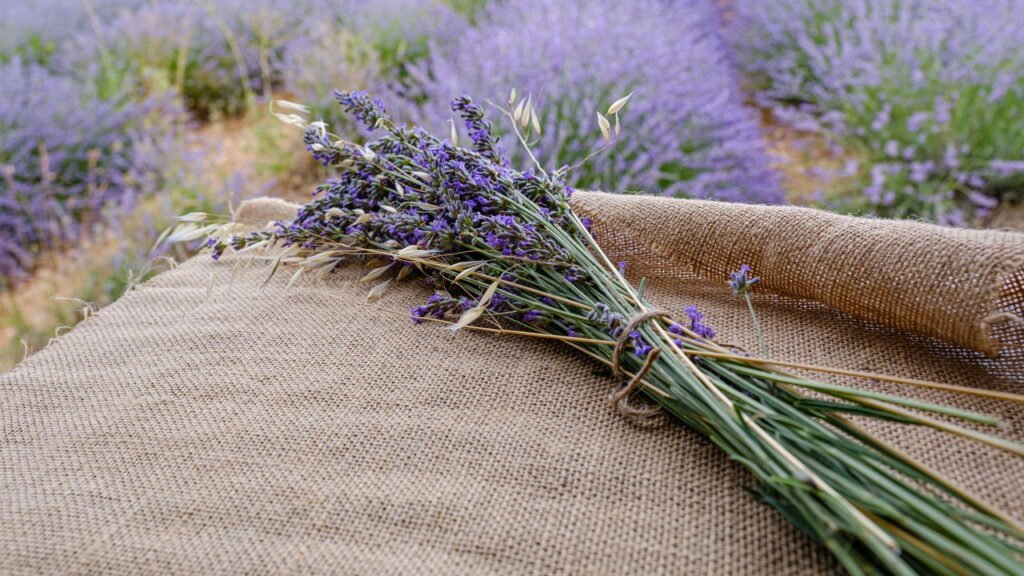 Mantenha sua casa sempre perfumada com essas ervas secas