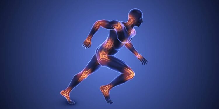 Articulações - Créditos: depositphotos.com / Cinefootage