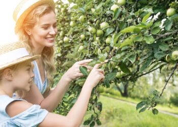 Árvores que florescem e atraem pássaros ideais para a primavera