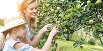Árvores que florescem e atraem pássaros ideais para a primavera