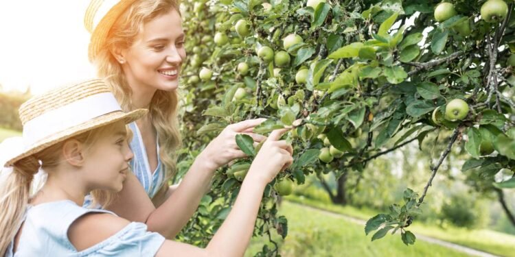 Árvores que florescem e atraem pássaros ideais para a primavera