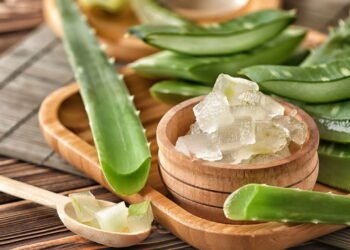 Como usar babosa para fortalecer os fios e evitar queda