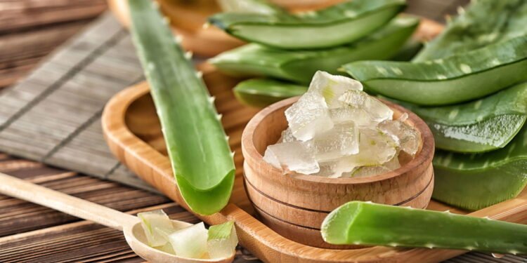 Como usar babosa para fortalecer os fios e evitar queda