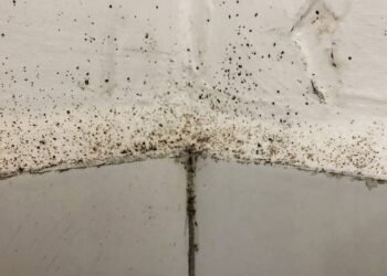 Transformei meu banheiro em 7 dias com uma rotina de 10 minutos