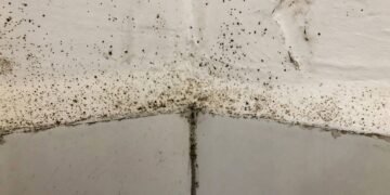 Transformei meu banheiro em 7 dias com uma rotina de 10 minutos