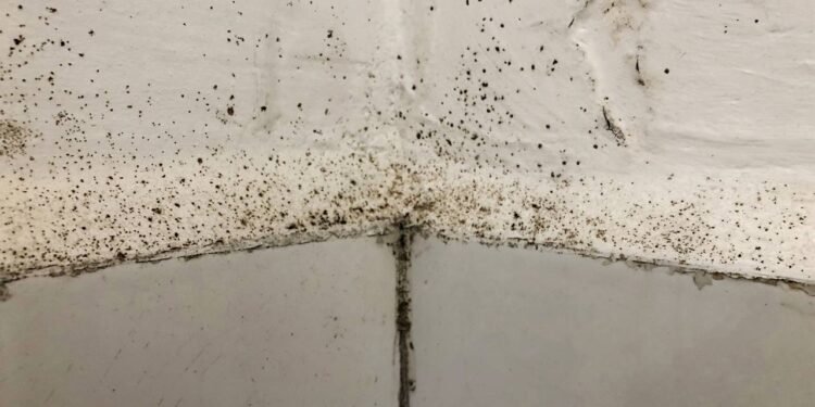 Transformei meu banheiro em 7 dias com uma rotina de 10 minutos