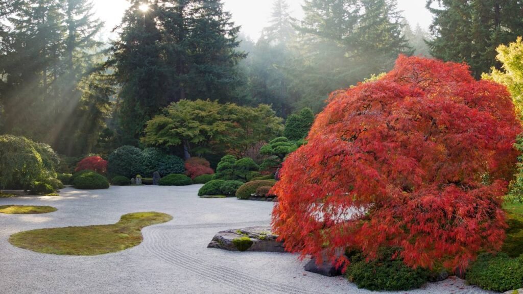 7 árvores que fazem sombra de verdade sem derrubar folhas por todo lado