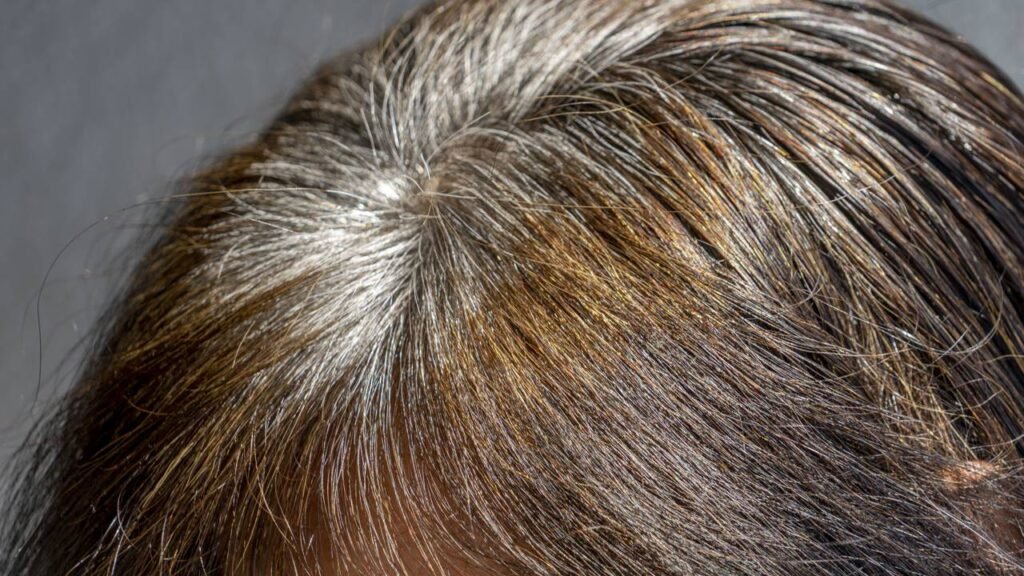 Como cuidar de cabelos grisalhos da forma correta e evitar o amarelado