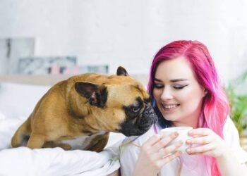 Cheiros que despertam alegria e curiosidade nos cães