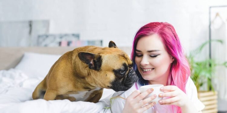 Cheiros que despertam alegria e curiosidade nos cães