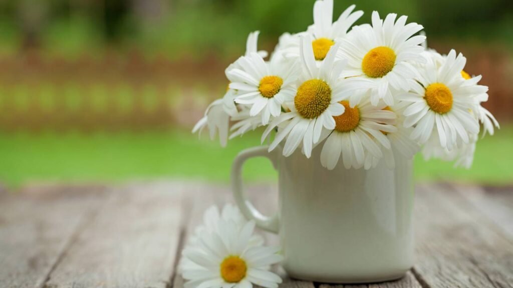 Como cultivar as ervas mais saborosas e poderosas para sua saúde