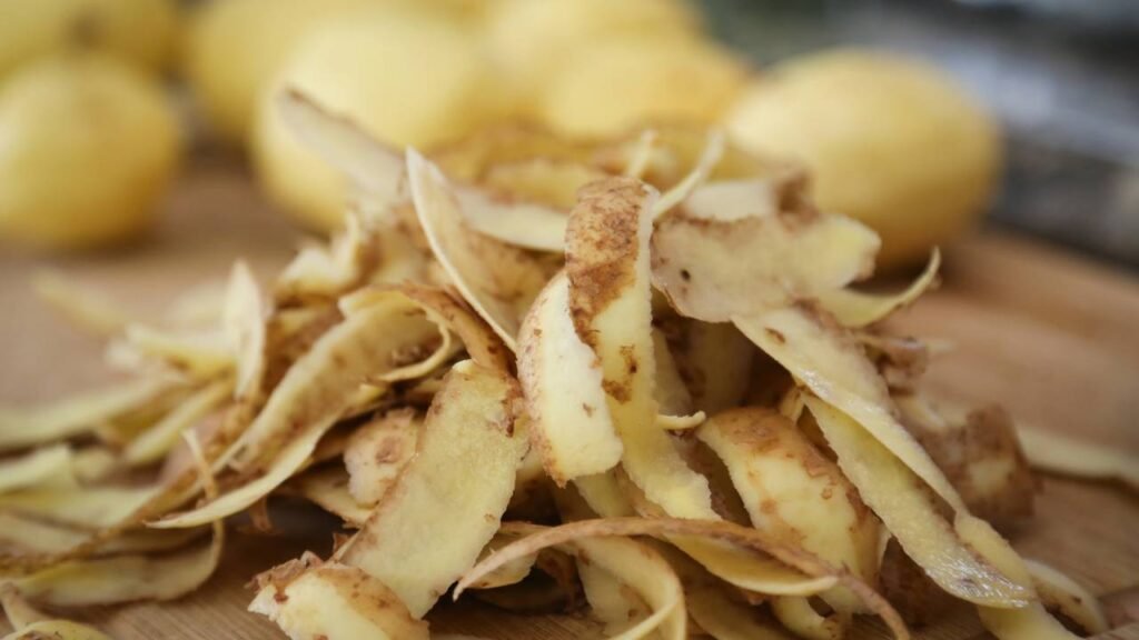 Adubo feito na cozinha que deixa suas ervas mais verdes e cheirosas