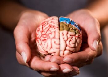 Fortaleça seu cérebro e reduza o risco de demência com esses exercícios simples