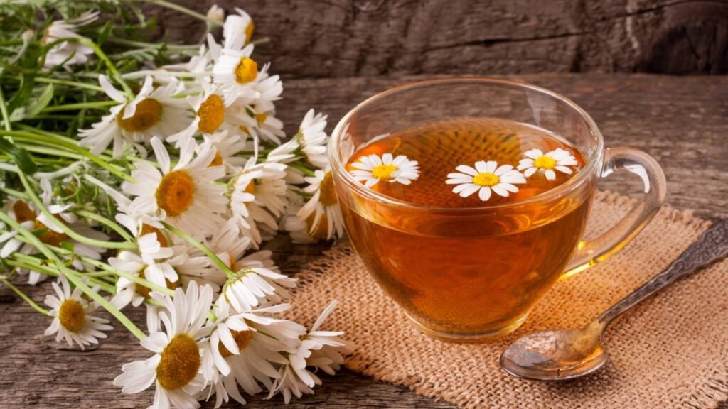 Como cultivar a planta mais relaxante e poderosa contra ansiedade