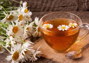 Como cultivar a planta mais relaxante e poderosa contra ansiedade