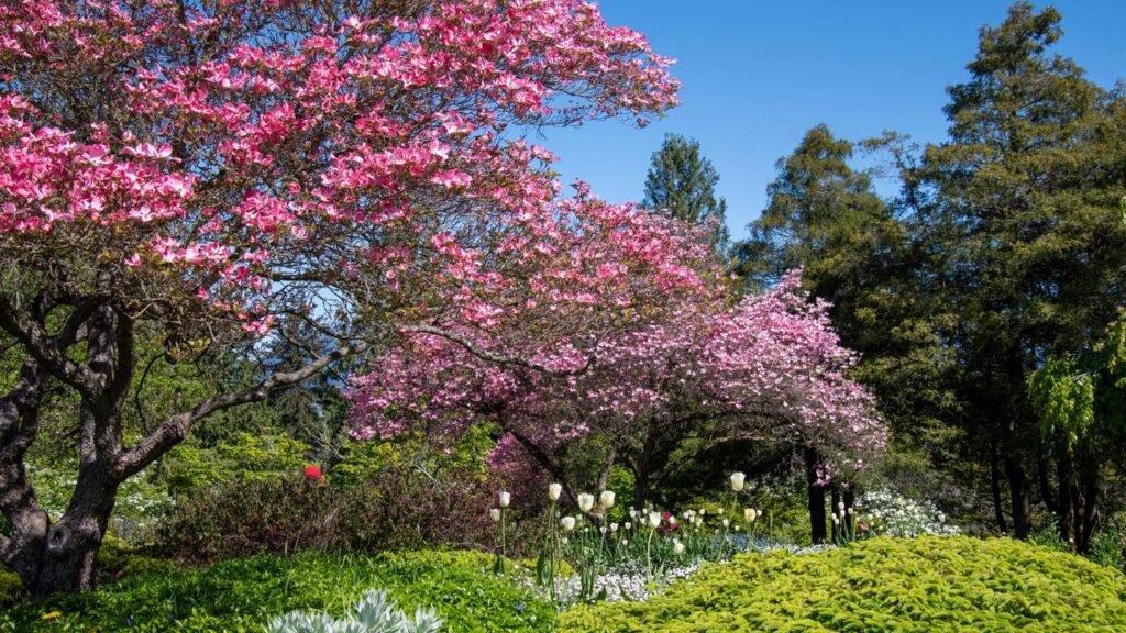 Árvores que florescem e atraem pássaros ideais para a primavera