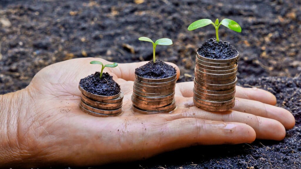 Essa cidade mineira virou referência nacional e pouca gente percebeu