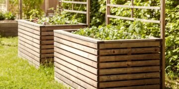 Comecei a cultivar esses temperos em casa e economizei muito no mercado