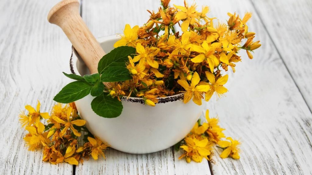 5 plantas que anulam remédios e podem oferecer risco à saúde