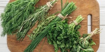 Adubo feito na cozinha que deixa suas ervas mais verdes e cheirosas