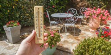 Solução barata e natural que faz suas flores durarem mais no calor