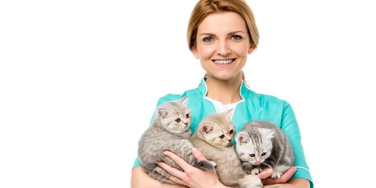 Como os gatos escolhem sua pessoa favorita e o que isso significa