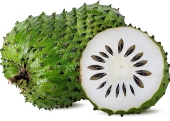 Graviola tem efeito antitumoral? Veja o que diz a ciência