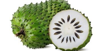 Graviola tem efeito antitumoral? Veja o que diz a ciência