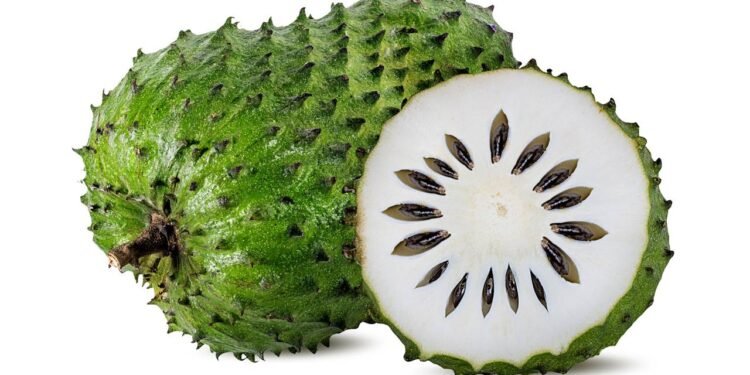 Graviola - Créditos: depositphotos.com / ilietus1000.gmail.com