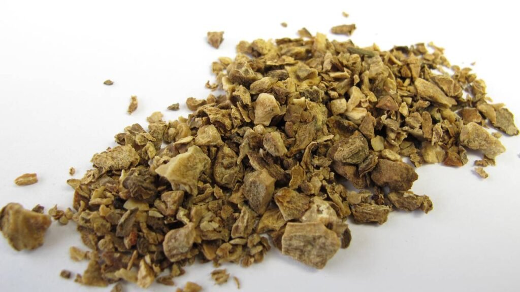 As plantas brasileiras mais poderosas contra dores nas articulações