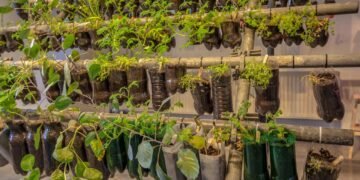 Transforme uma simples garrafa pet em uma linda horta hidropônica