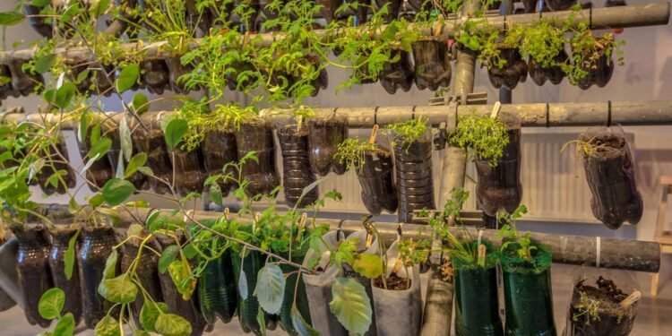 Transforme uma simples garrafa pet em uma linda horta hidropônica