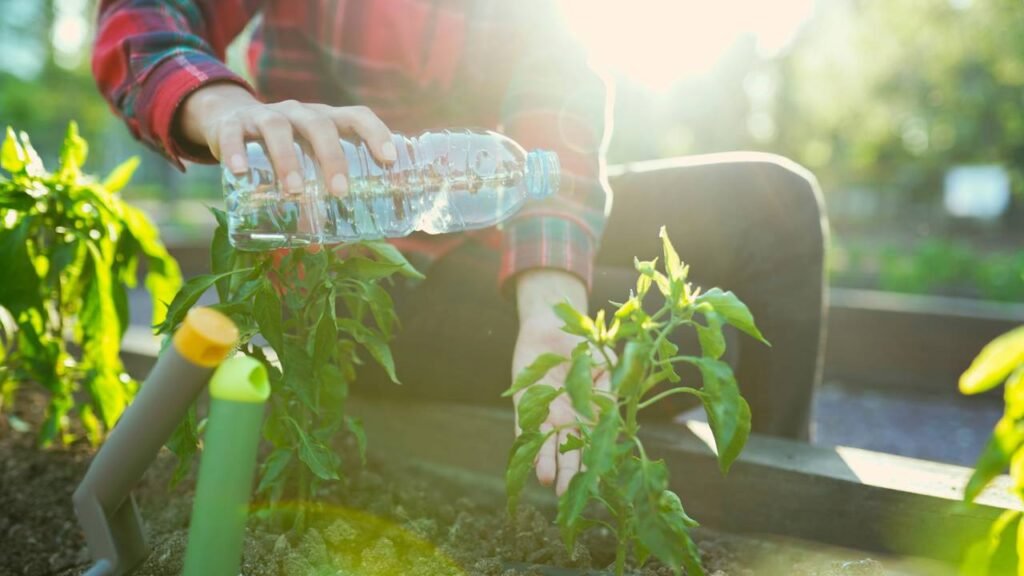 Transforme uma simples garrafa pet em uma linda horta hidropônica