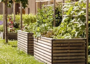 3 ervas que ajudam a dormir melhor e você pode cultivar em casa