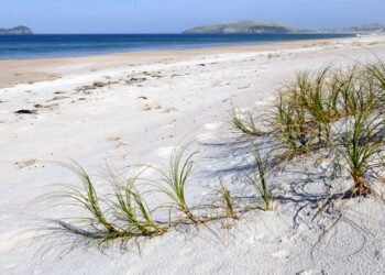 Uma ilha que já foi Patrimônio Mundial e agora é um lixão e acumula toneladas de lixo