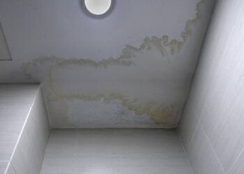 Saiba como blindar sua casa contra infiltrações e evitar reformas caras