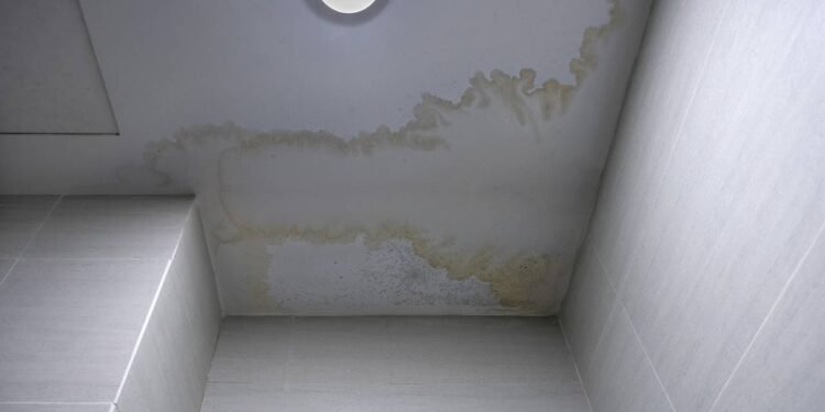 Saiba como blindar sua casa contra infiltrações e evitar reformas caras