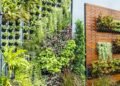 Como criar um jardim vertical com pouco espaço e muito estilo