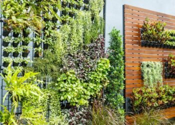 Como criar um jardim vertical com pouco espaço e muito estilo