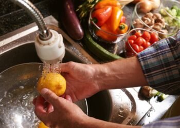 Especialistas revelam a maneira correta de lavar frutas e vegetais em casa