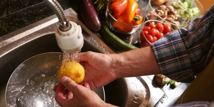 Especialistas revelam a maneira correta de lavar frutas e vegetais em casa