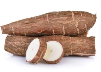 Mandioca o superalimento que turbina seu desempenho